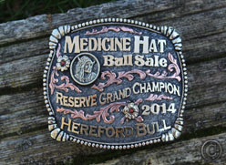 Medicine Hat Bull Sale
